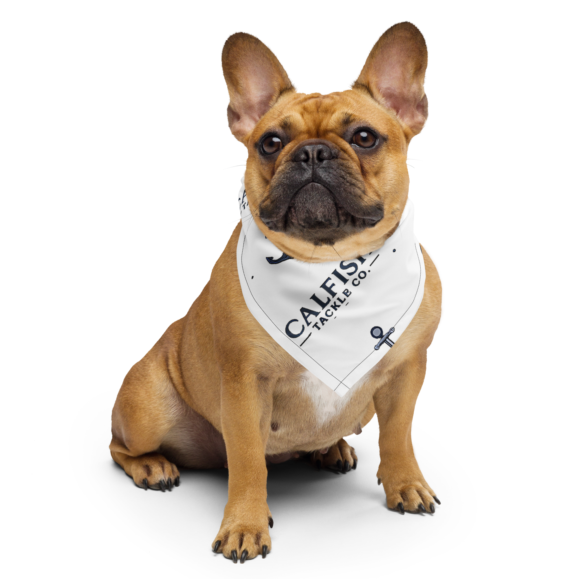 CalFish Harbor Hound Bandana